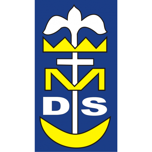 DSM Tarnów